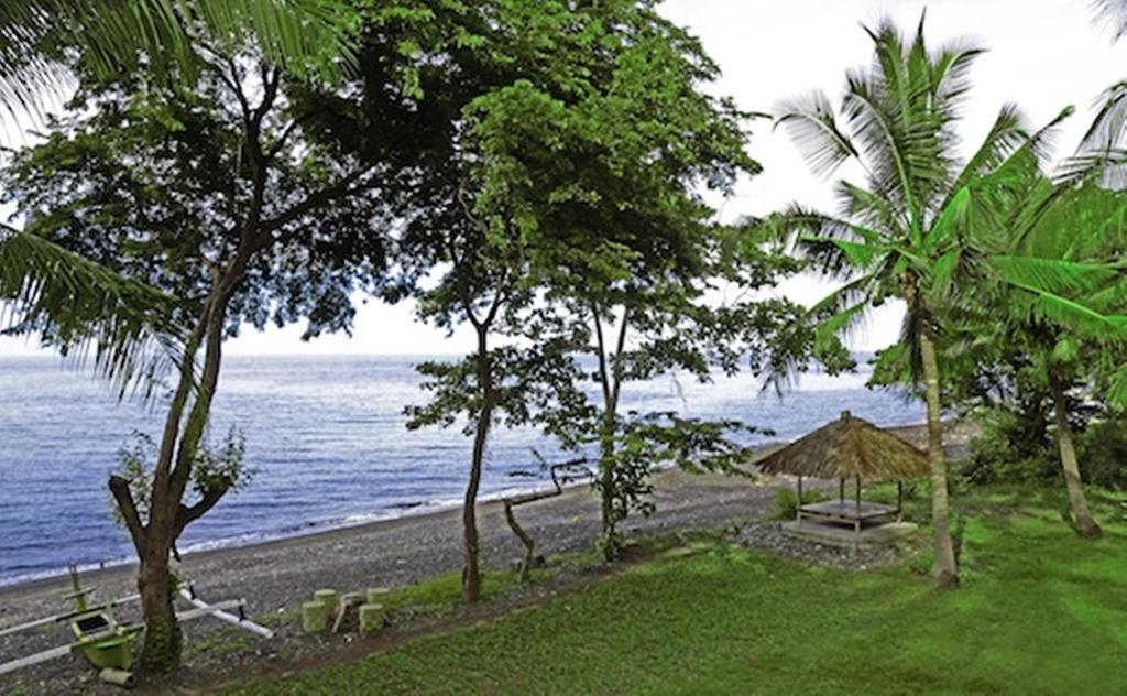 Bali Au Naturel (Adults Only) Tejakula Eksteriør bilde